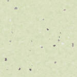 Eclipse PASTEL OLIVE 0077